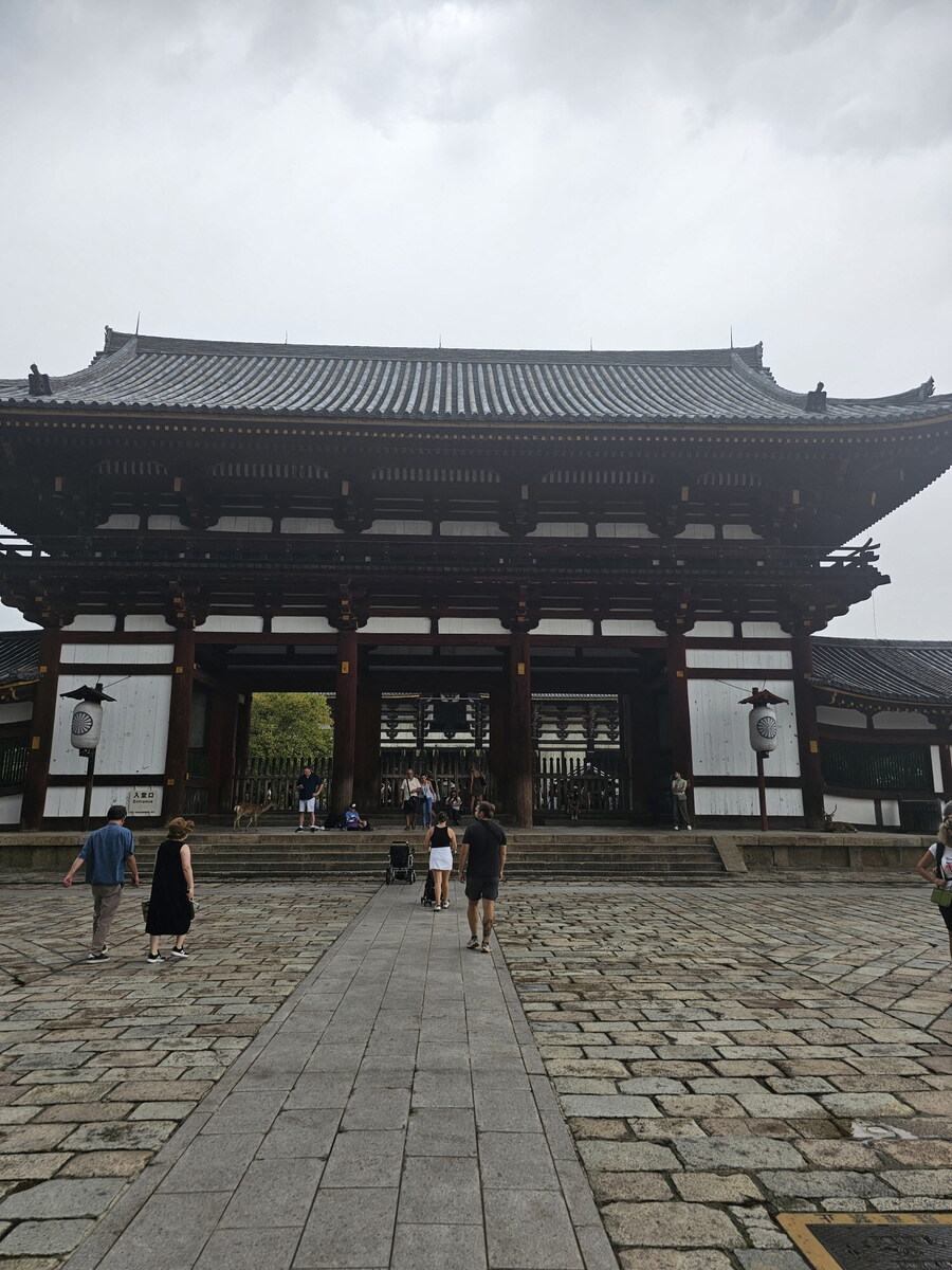 오사카-칸사이 부모님 모시고 효도 여행 1일차 - 도톤보리/나라공원/하루카스300_56.jpg