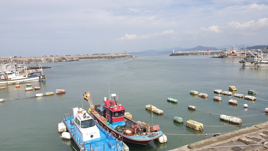 충남 서천 춘장대 해수욕장 홍원항_4.jpg