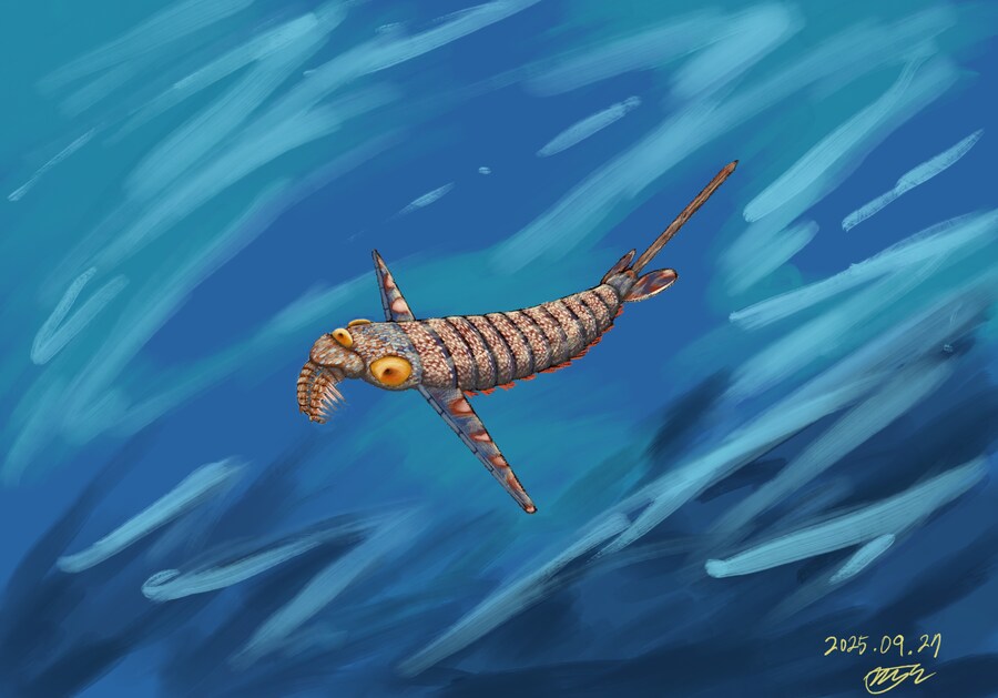 고생물) 범죄자의 별명이 학명인 작은 벌레_1.png