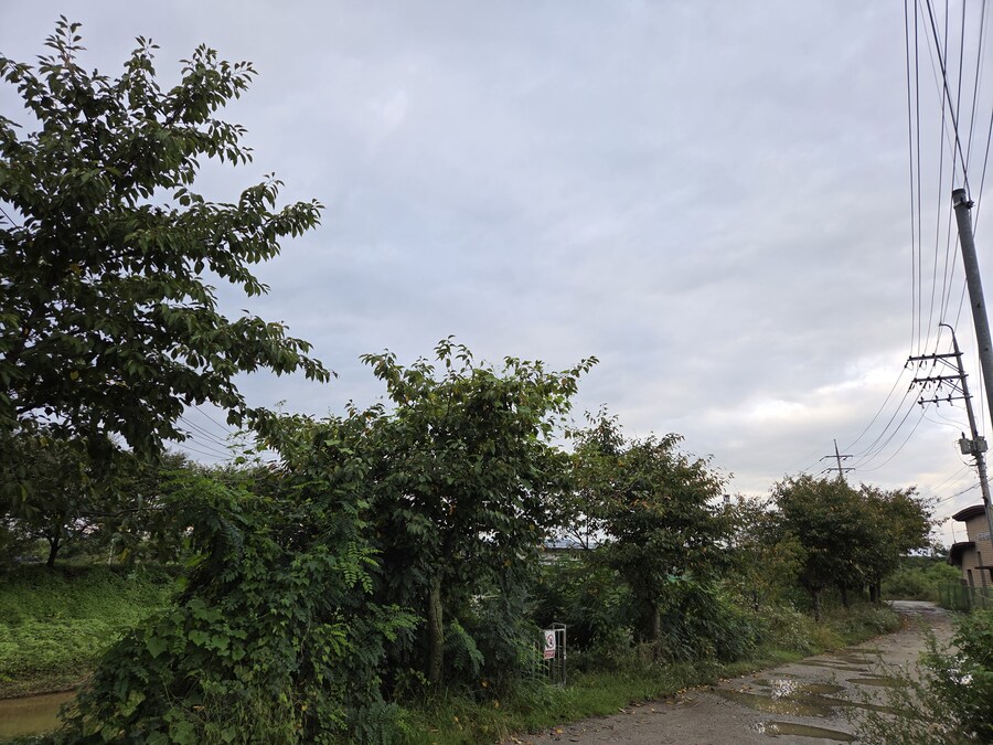 비개인 오후를 좋아하시나요?_1.jpg