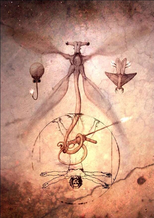 SF) 시간대 뇌절의 극한인 소설_2.png