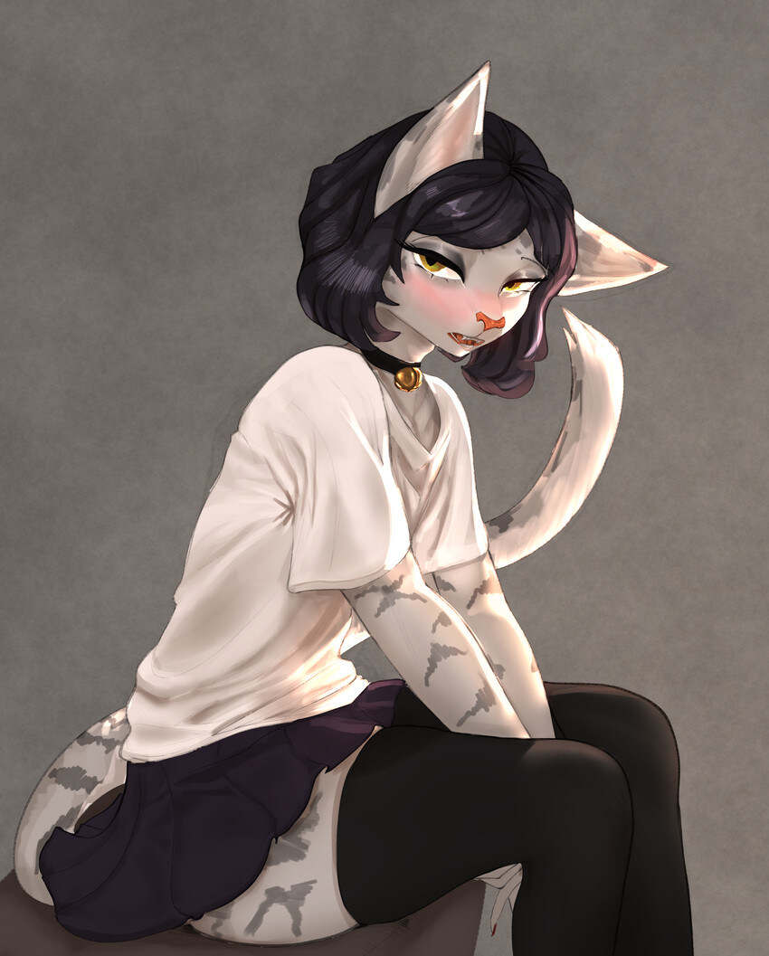 퍼리_6.jpg