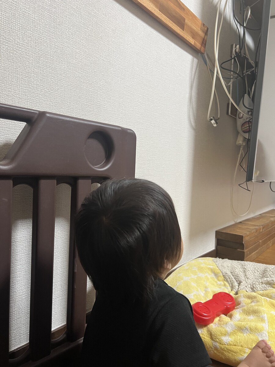 자꾸 TV 뒤로 들어가려는 아이를 막기위해 놓아두었다는것_1.jpg