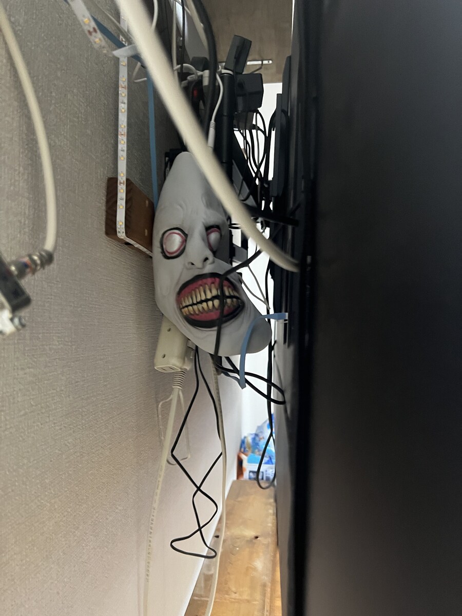 자꾸 TV 뒤로 들어가려는 아이를 막기위해 놓아두었다는것_2.jpg