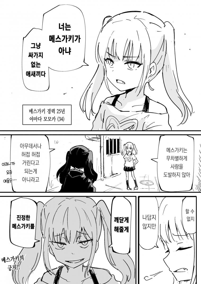 경력 25년 메스가키 마스터.jpg_1.jpg