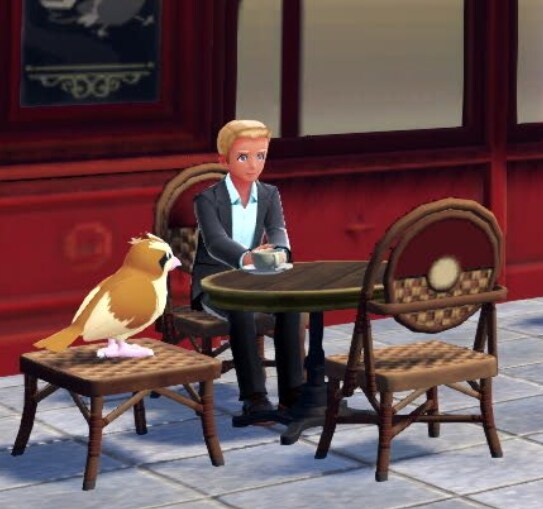 포켓몬스터 지적되어온 NPC 외모.jpg_6.png