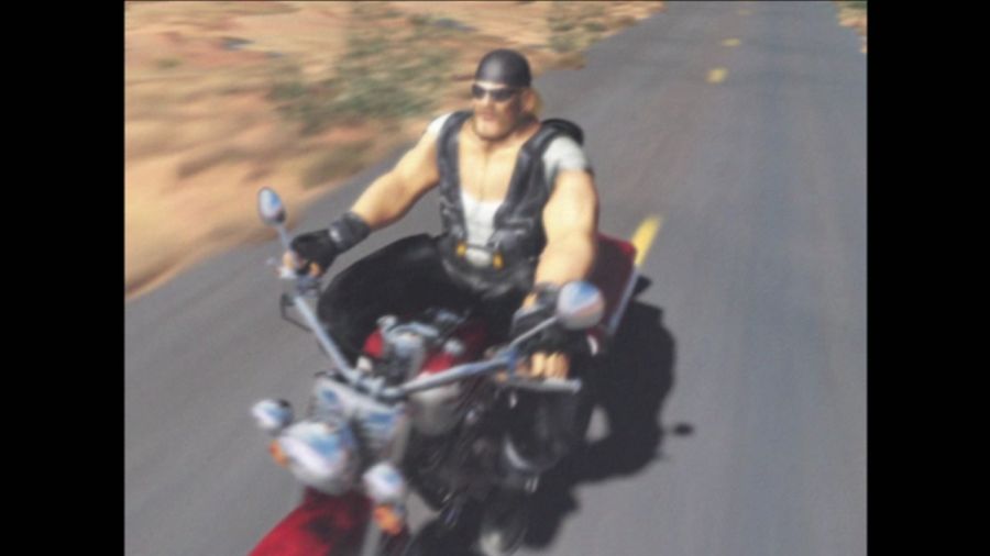 DEAD OR ALIVE 3_29.jpg