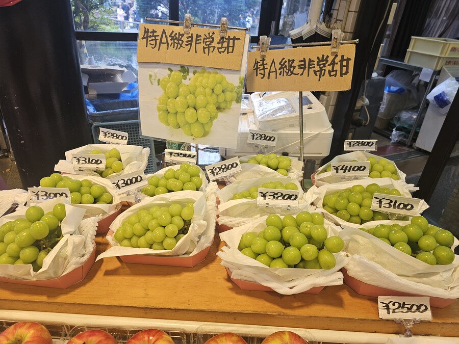 일본산 샤인 머스켓은 무슨맛일까 해서 먹어 봄_2.jpg