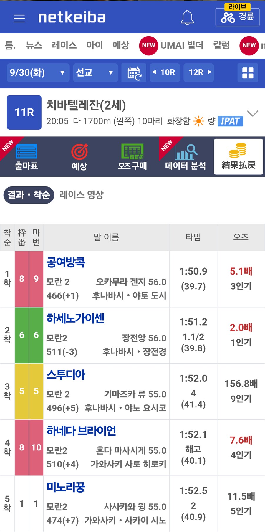 경마,말딸)봇치 산구 중 처음으로 2세 오픈마 나왔네요_2.png