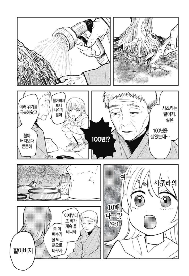 사쿠라의 정원 만화 .manhwa_36.jpg