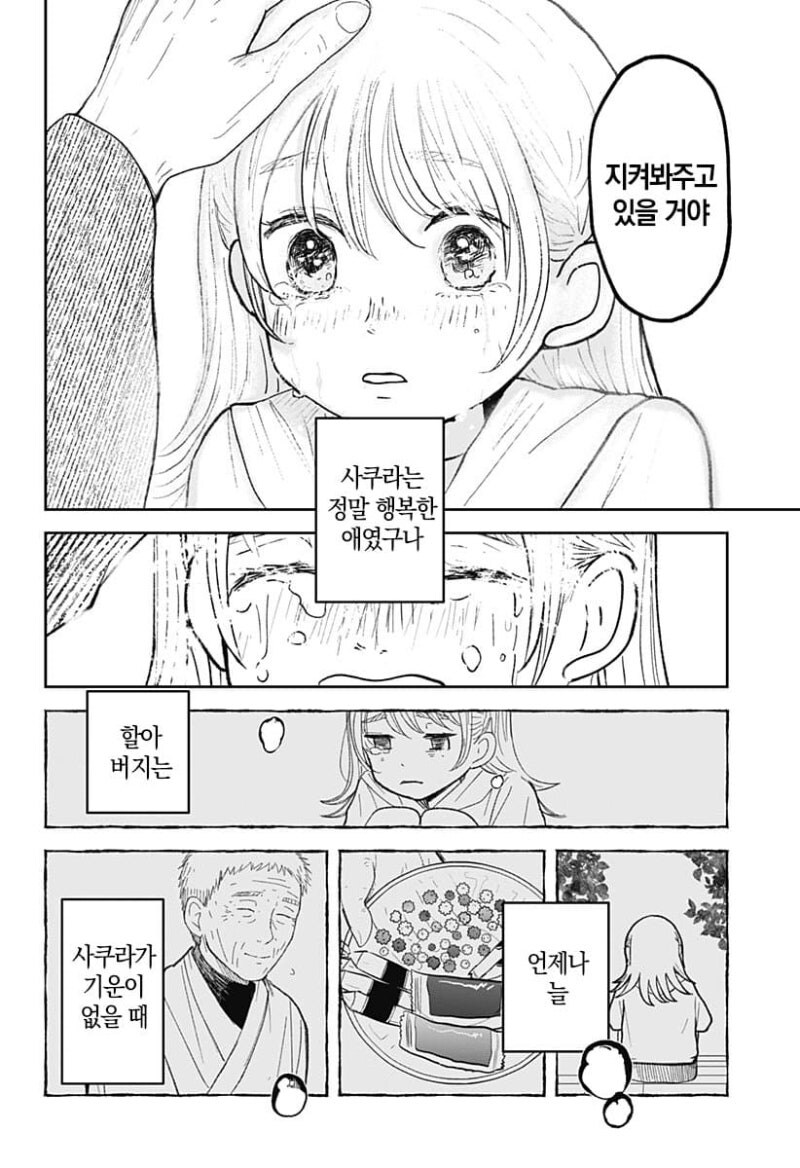 사쿠라의 정원 만화 .manhwa_51.jpg