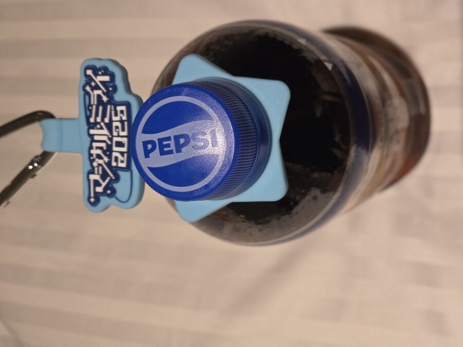 미쿠)매지컬 미라이 2025 도쿄 2일차_89.jpg