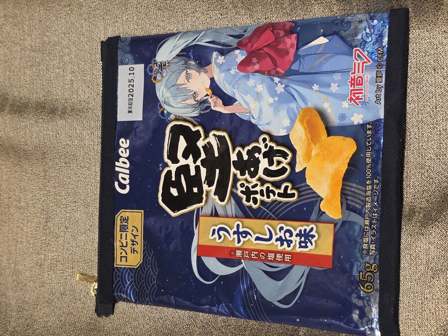 미쿠)매지컬 미라이 2025 도쿄 2일차_91.jpg