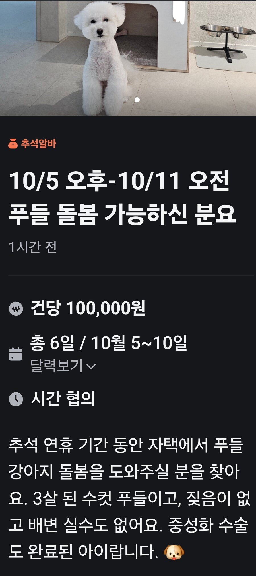 오늘의 당근 토종꿀 알바_1.jpg