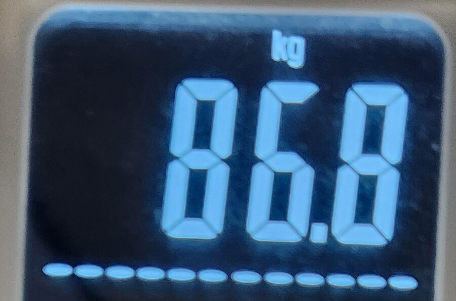 으른양 다이어트 94일차 -끝-_3.png