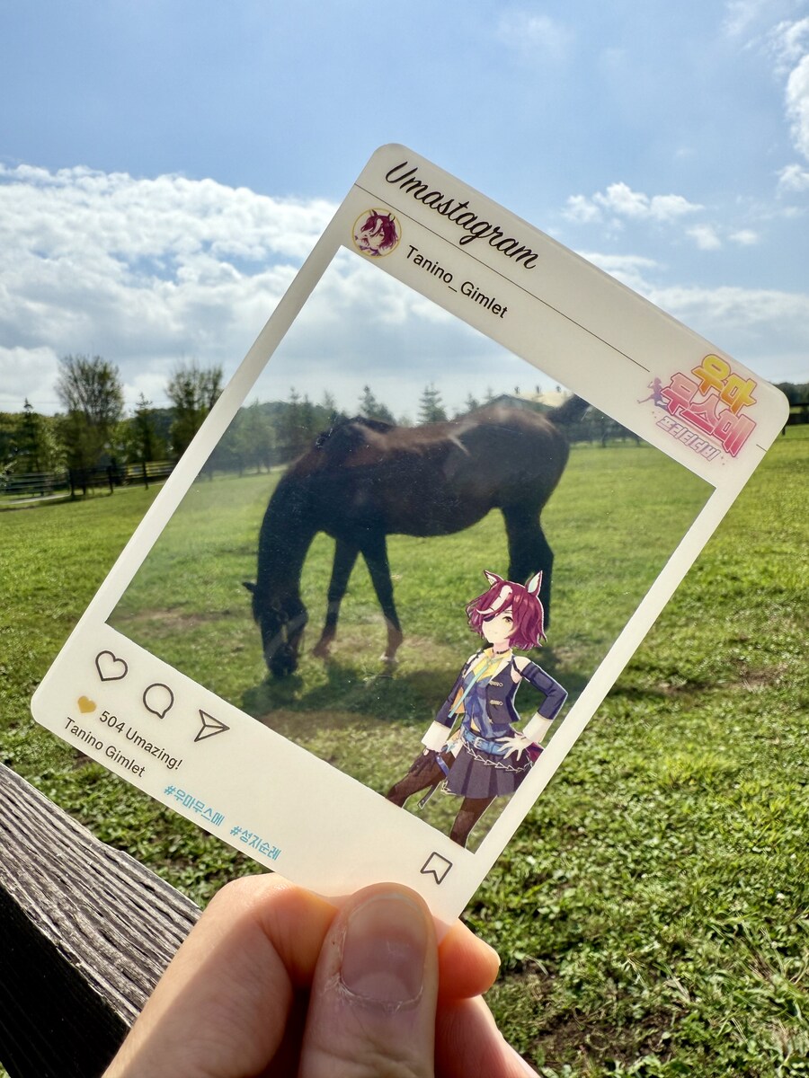 경마) / 말딸) 할무이를 더 가까이에서! 원더 어큐트 그리팅 후기_5.jpg