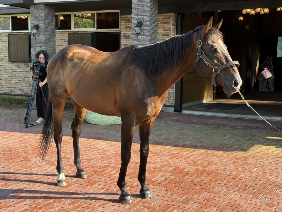 경마) / 말딸) 할무이를 더 가까이에서! 원더 어큐트 그리팅 후기_10.jpg
