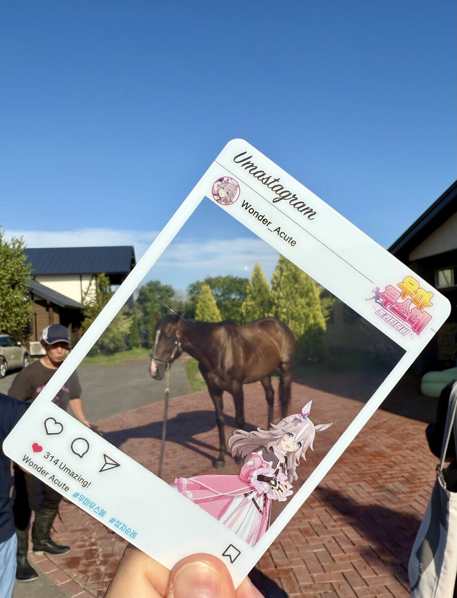 경마) / 말딸) 할무이를 더 가까이에서! 원더 어큐트 그리팅 후기_14.jpg