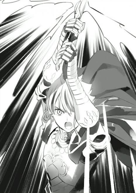 페이트)딜,탱,보구 애매한데 대영웅에 속한 케이스_2.jpg