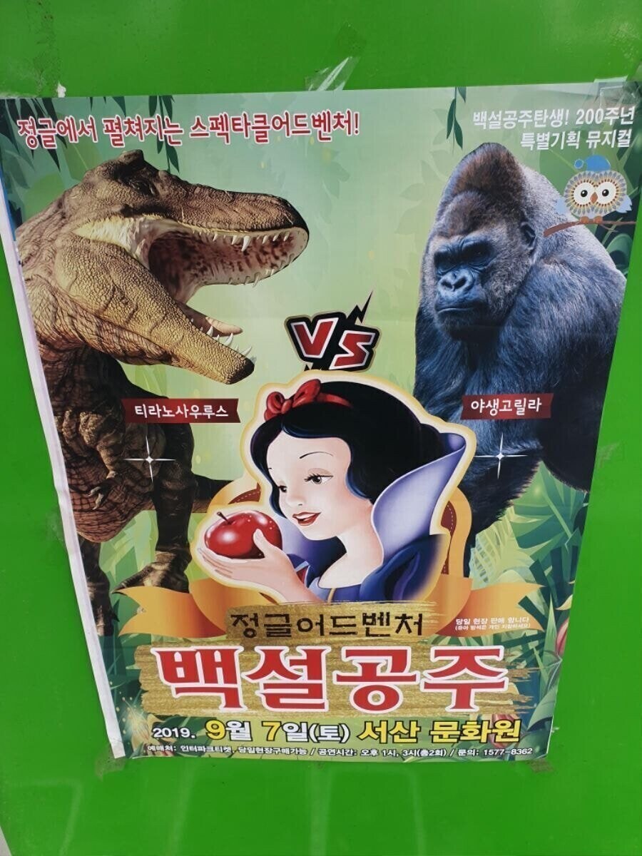의외로 고릴라보다 강한 생물_1.jpg