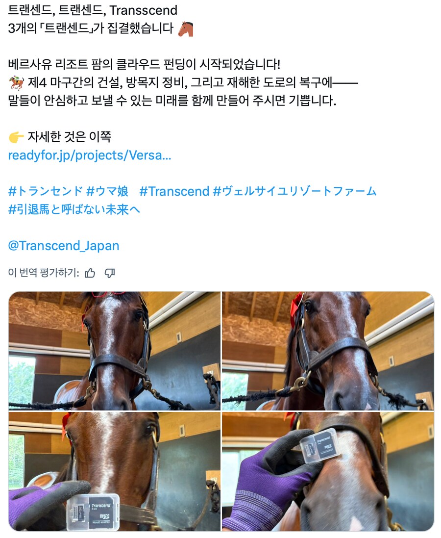 경마) / 말딸) 트랜센드의 영압이..!_4.png