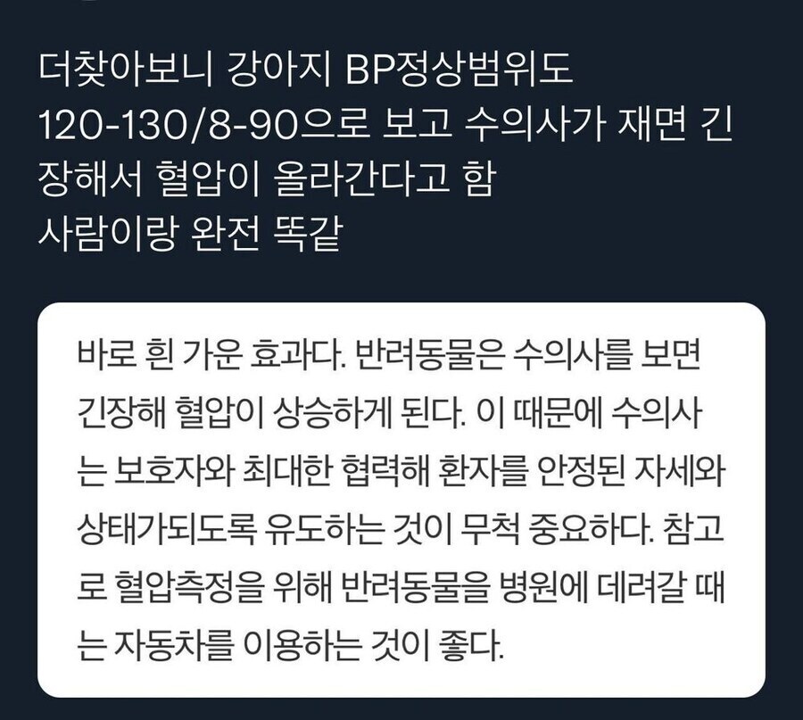 혈압 측정하는 강아지_2.jpg