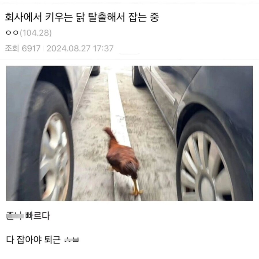 회사에서 내준 퇴근 미션_1.jpg