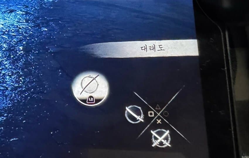 R2 버튼_1.jpg
