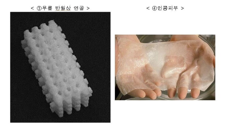 내가 생각한 미래기술, 현실의 기술_4.jpg