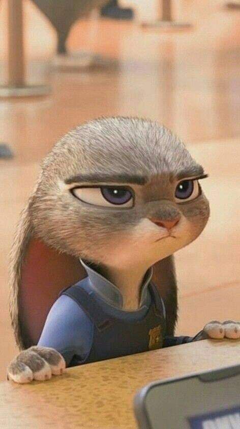 퍼리)퍼리?퍼리퍼리퍼리퍼리 주디홉스_14.png