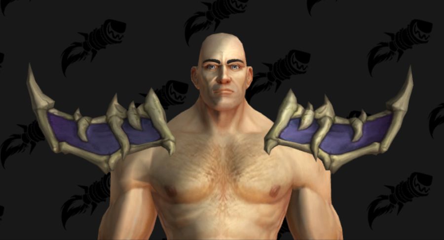 와우 한밤 악마소환사 테마 및 강령군주 테마, 화살통_5.png