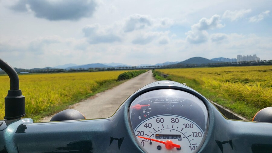 시흥 호조벌_2.jpg