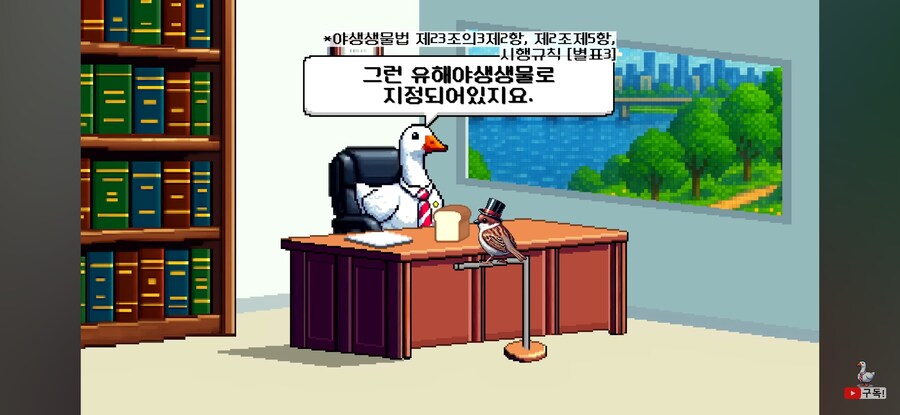 비둘기 밥주면 진짜 과태료를 내는가?_8.jpg