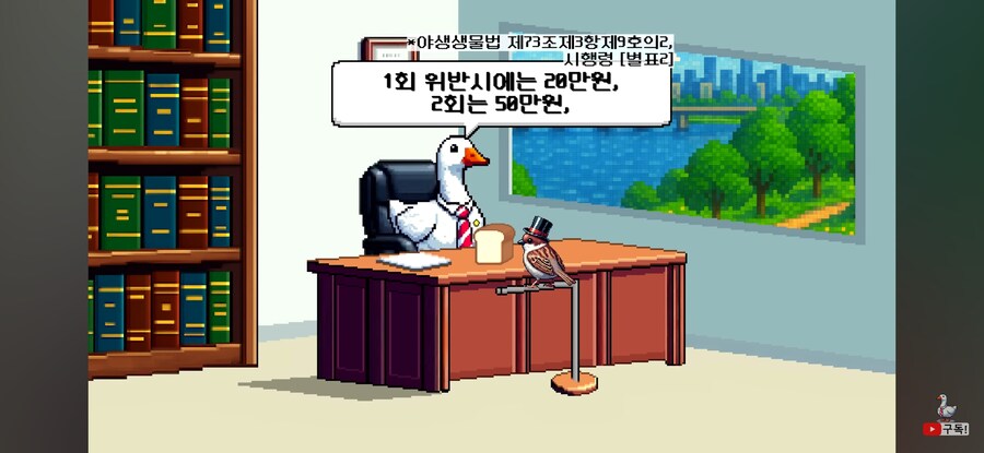 비둘기 밥주면 진짜 과태료를 내는가?_12.jpg
