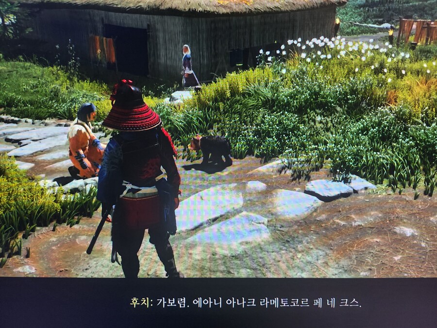 요테이 속 동물보호의 양면성_1.jpg
