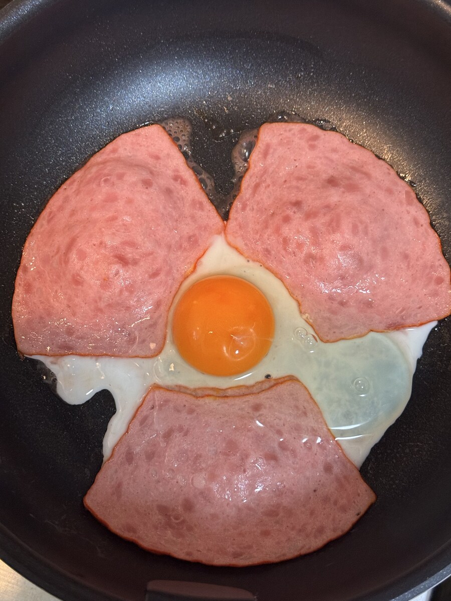 부채꼴 햄의 용도_2.jpg