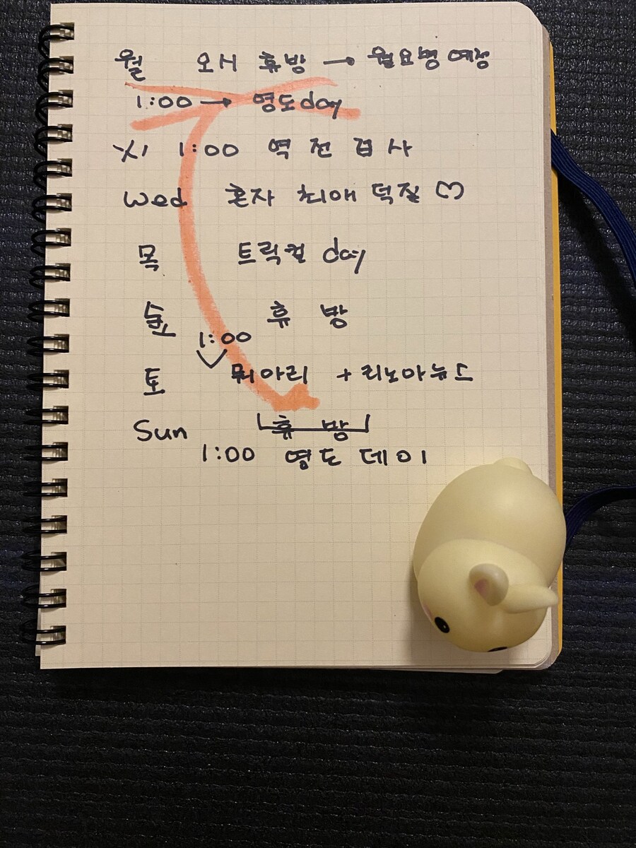 📝 2025년 10월 리노아 (2025.10.06~13)_1.jpg