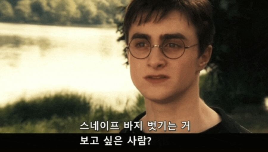 해리포터)덤비가 해리를 찾아가지 않은 이유_3.jpg