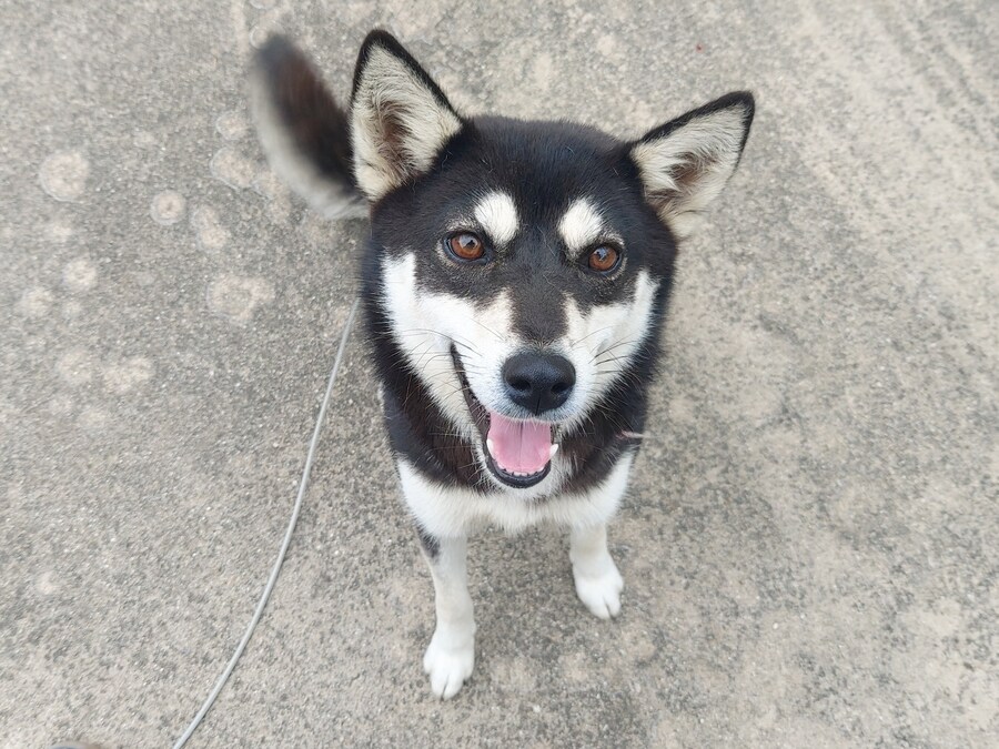 울집 뎅뎅이나 봐_1.jpg