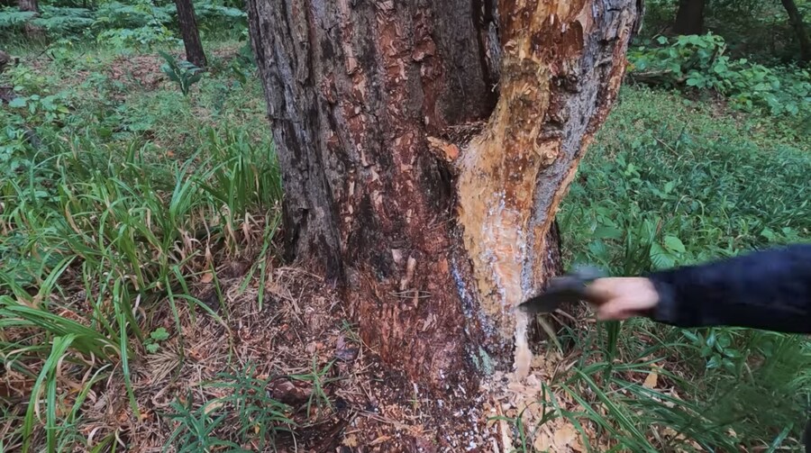 캠핑) 내 생전 이런 미친짓은 처음 봅니다_31.jpg