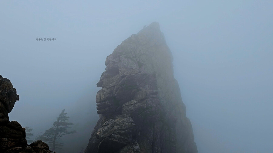공룡능선 절벽에서 뛰어내리면서 촬영을 해봤습니다 9:50 운해영상을 즐겨보세요!_15.jpg