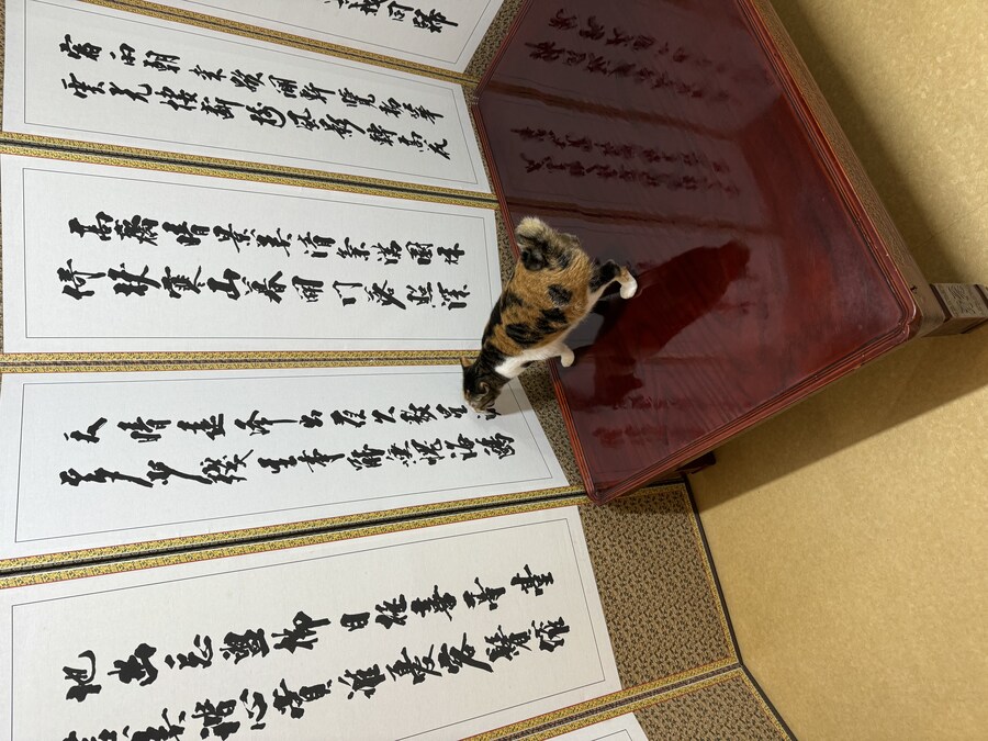 요즘 차례 근황ㄷㄷ_1.jpg