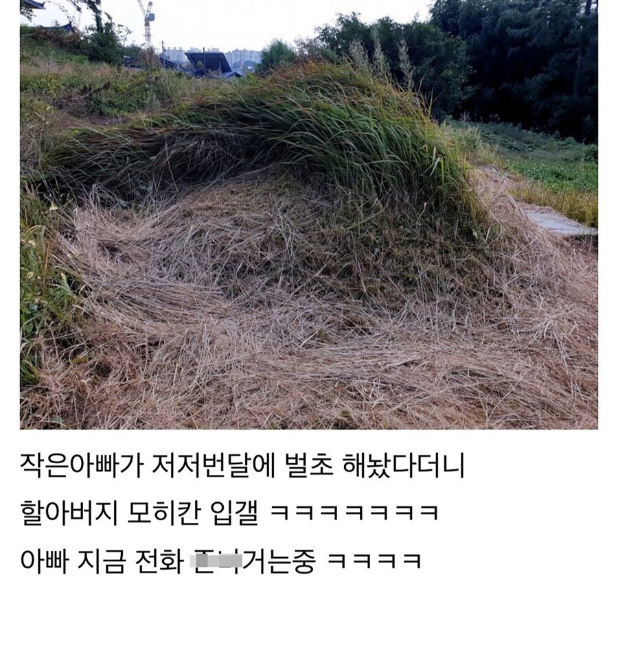 추석) 야붕이 아버지 극대노했다.jpg_2.jpg