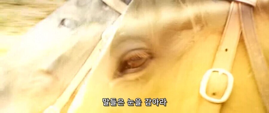 시대를 2000년 쯤 앞서간 제갈량의 전술_8.jpg
