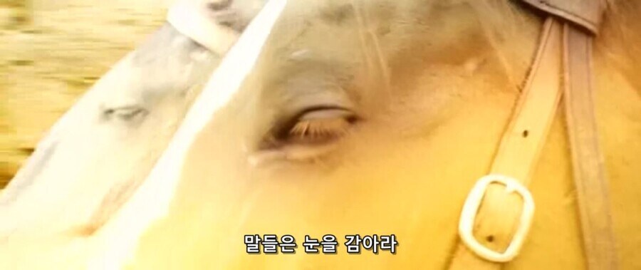 시대를 2000년 쯤 앞서간 제갈량의 전술_9.jpg