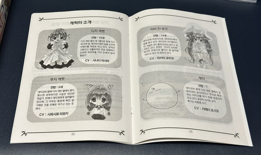 설연휴 집정리하다 찾은 디지캐럿 판타지 한정판_11.jpg