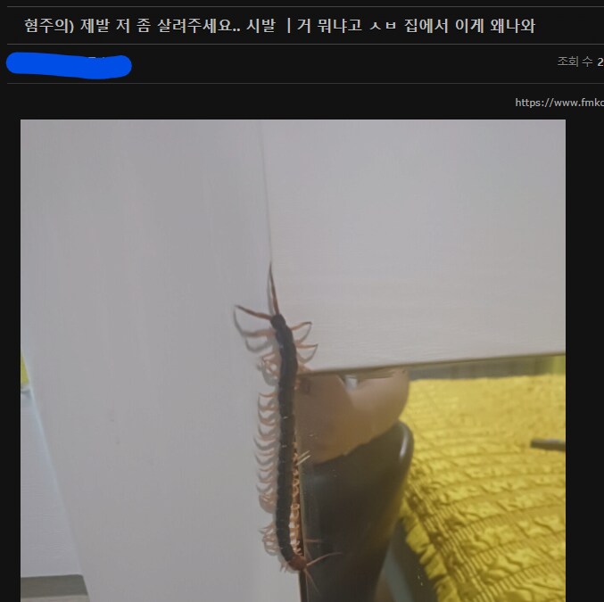 혐) 집에 지네가 나옴.jpg_1.png