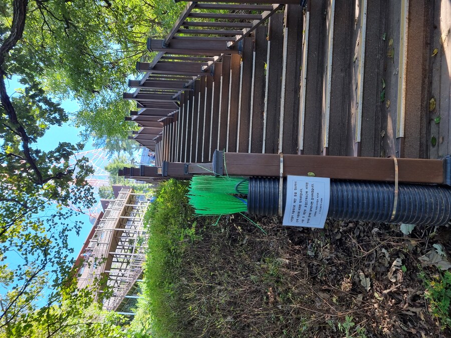 이치란보다는 어죽국수 일산 고봉산-풍산역 사이에 있던 한가어죽_5.jpg