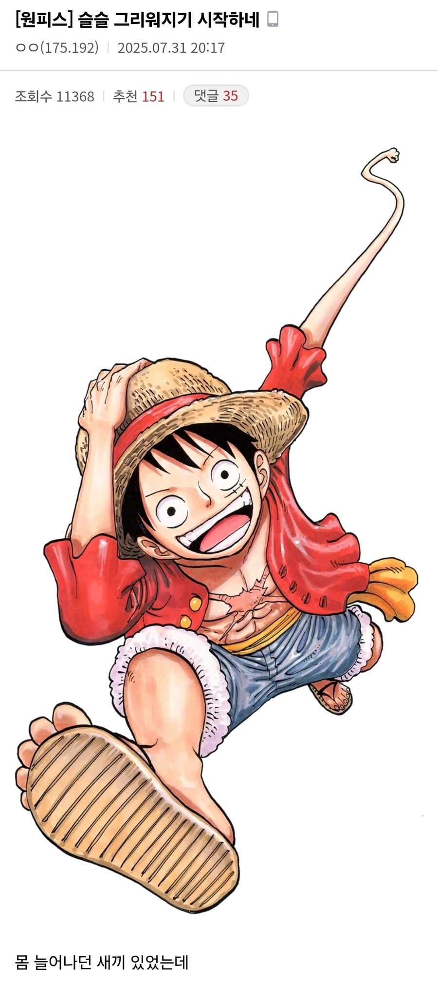 원피스 과거회상이 너무 재밌으면 생기는 일_3.jpg