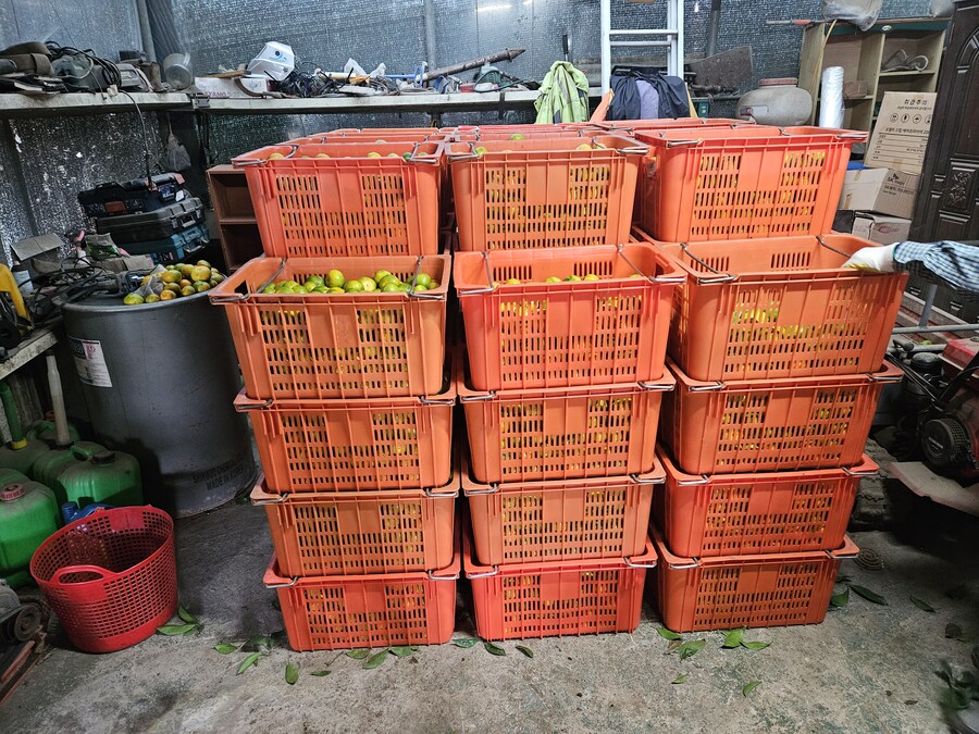 귤)집가고 싶다_1.jpg